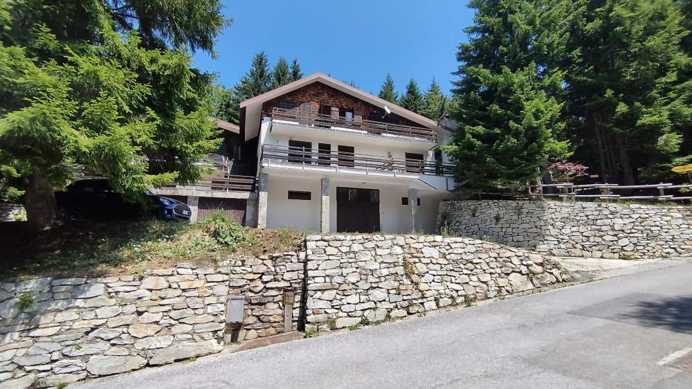 Delfinitetti immobiliare