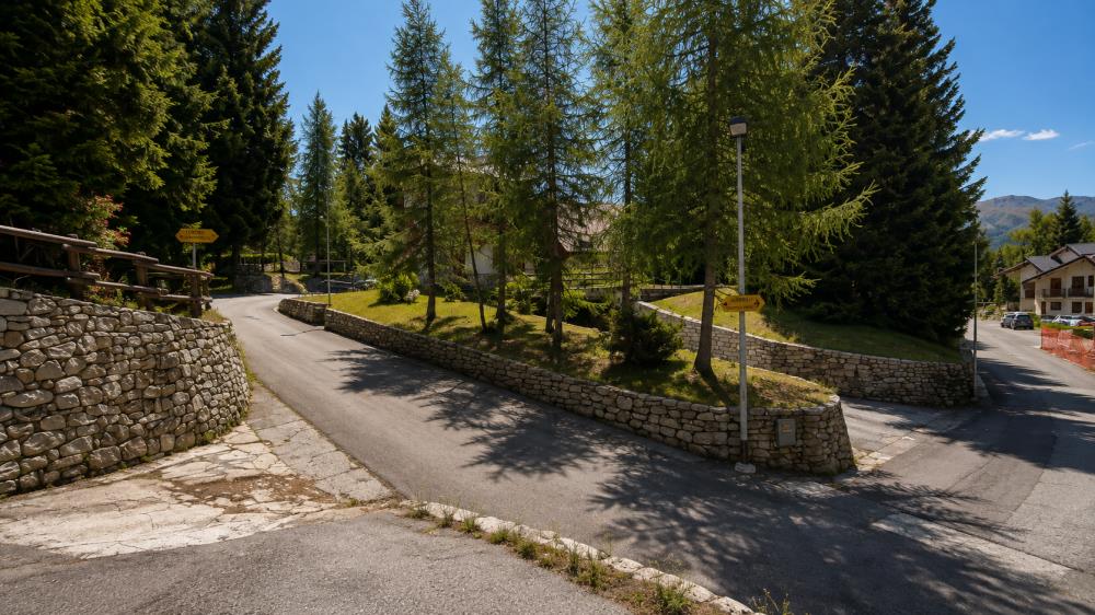 Delfinitetti immobiliare