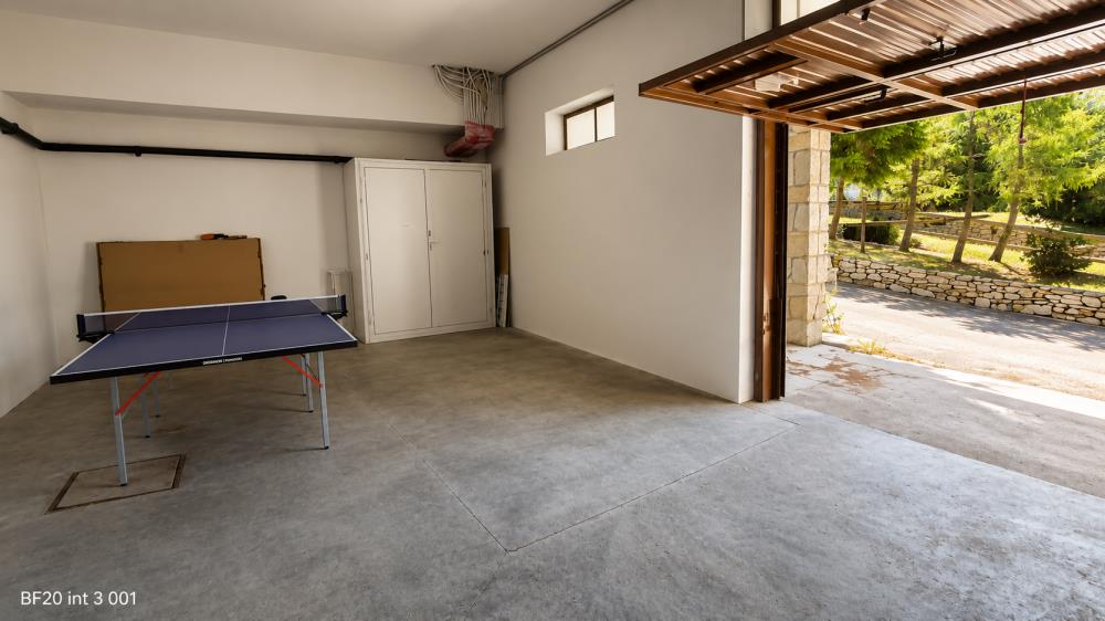 Delfinitetti immobiliare