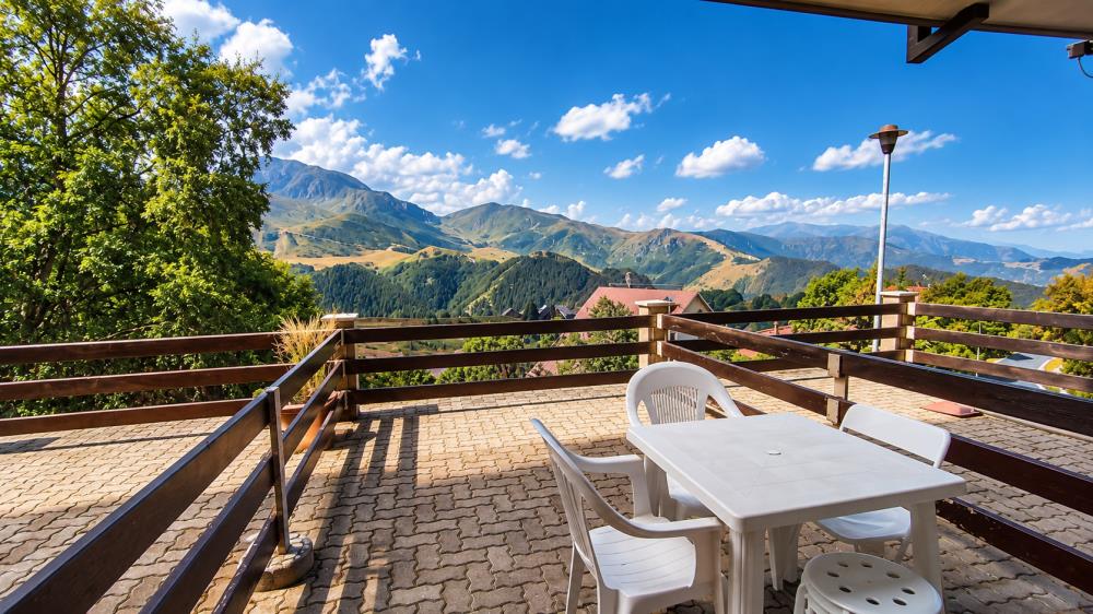 Delfinitetti immobiliare