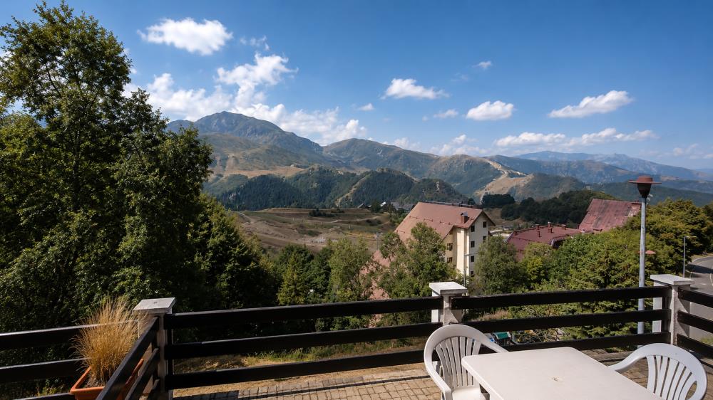 Delfinitetti immobiliare
