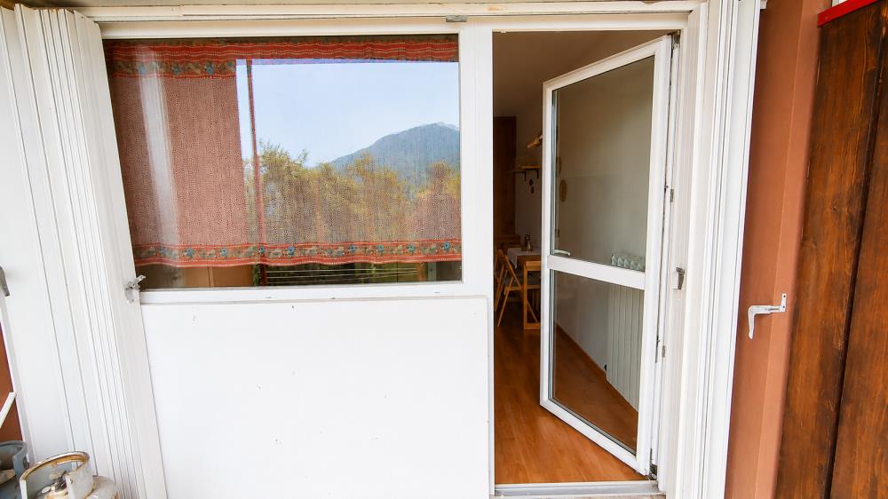 Delfinitetti immobiliare