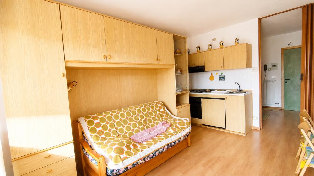 Delfinitetti immobiliare
