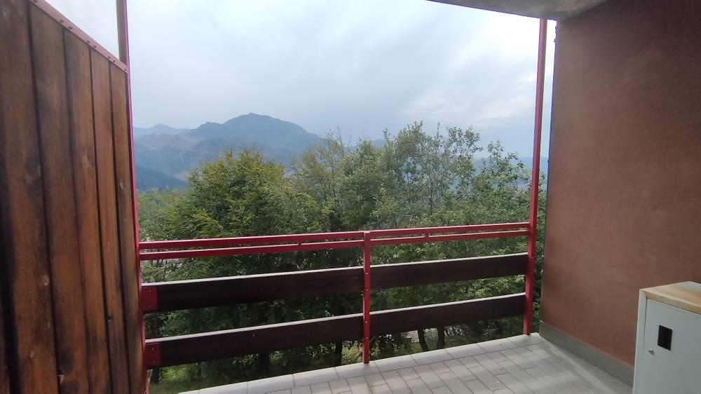 Delfinitetti immobiliare