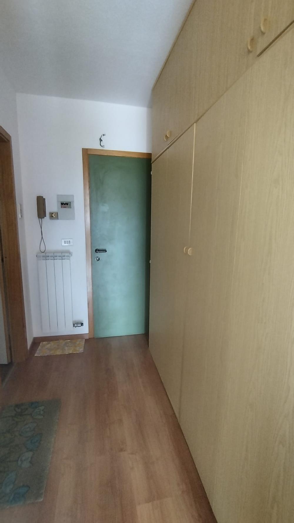 Delfinitetti immobiliare