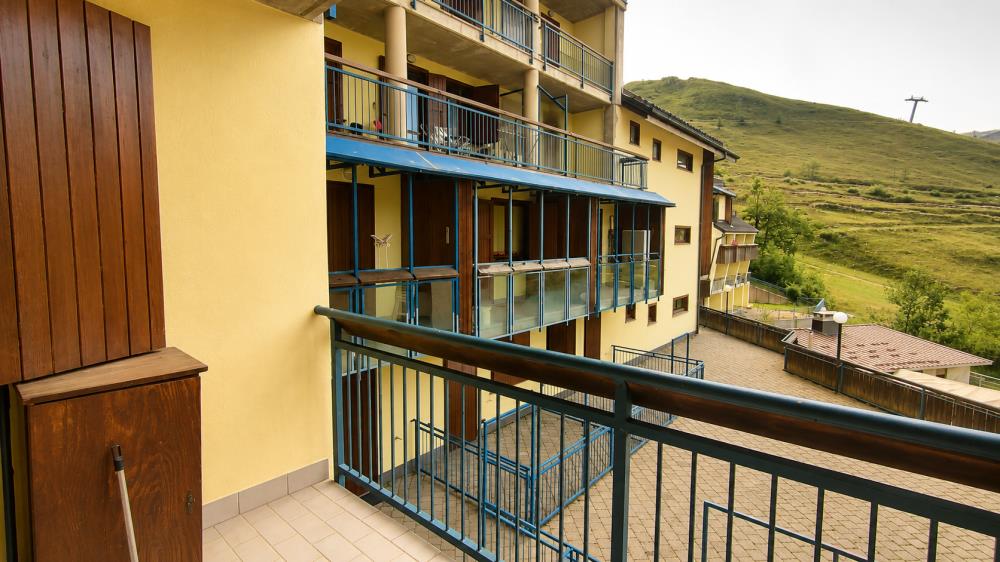 Delfinitetti immobiliare