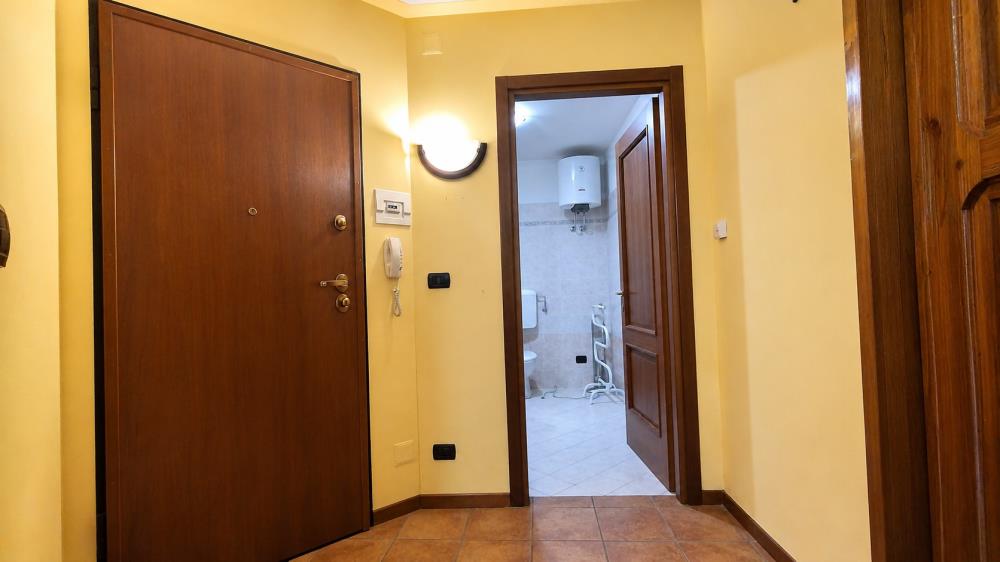 Delfinitetti immobiliare