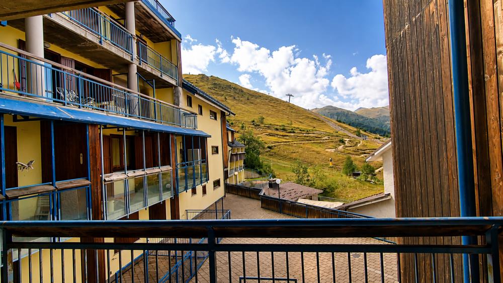 Delfinitetti immobiliare