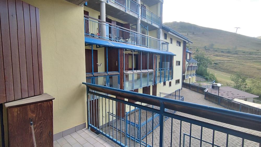 Delfinitetti immobiliare