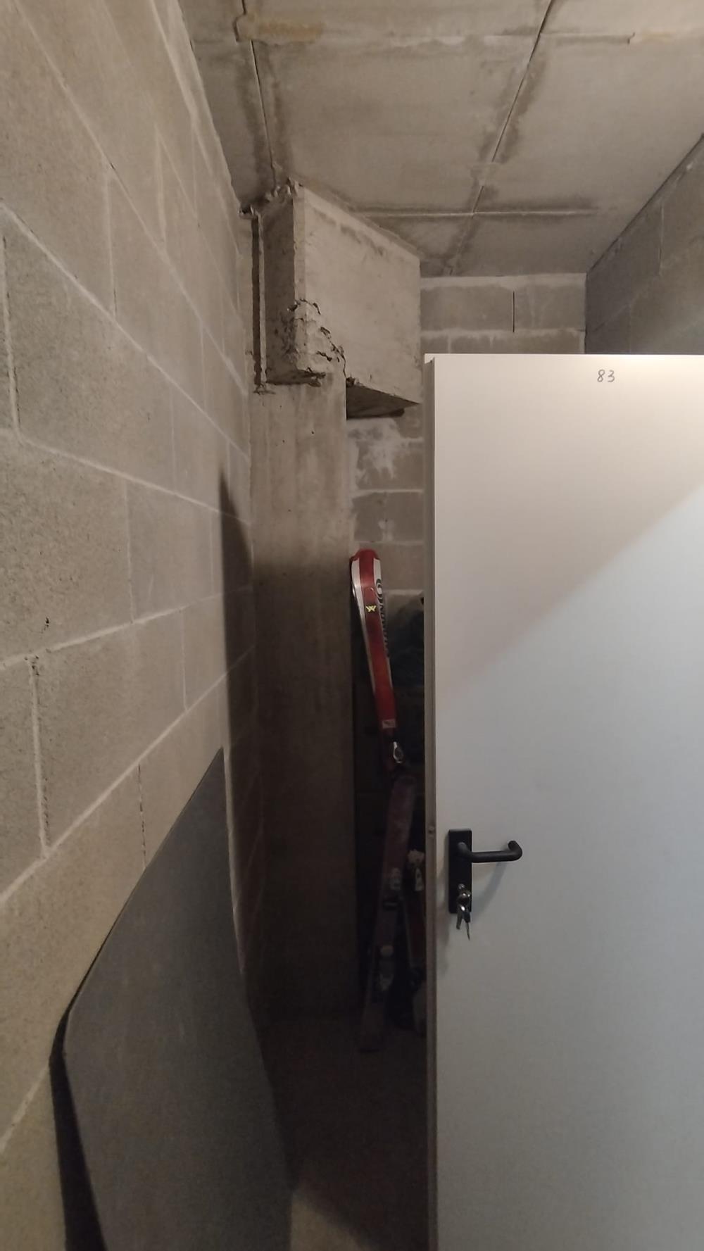 Delfinitetti immobiliare