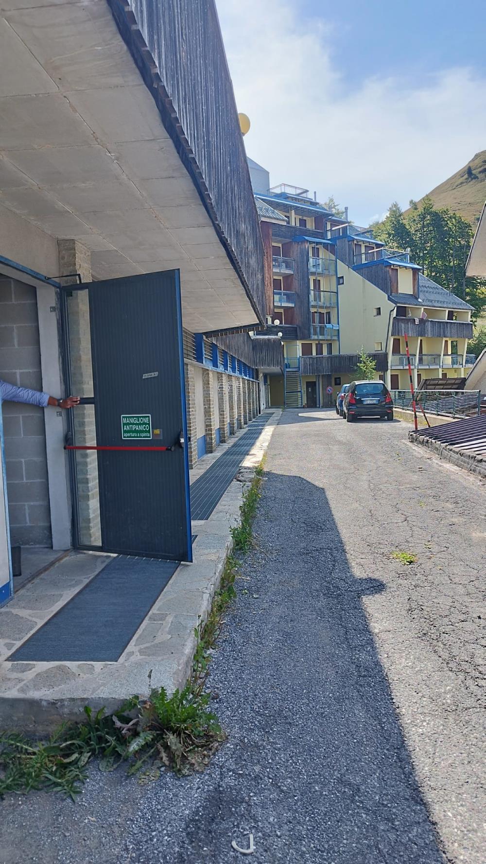 Delfinitetti immobiliare
