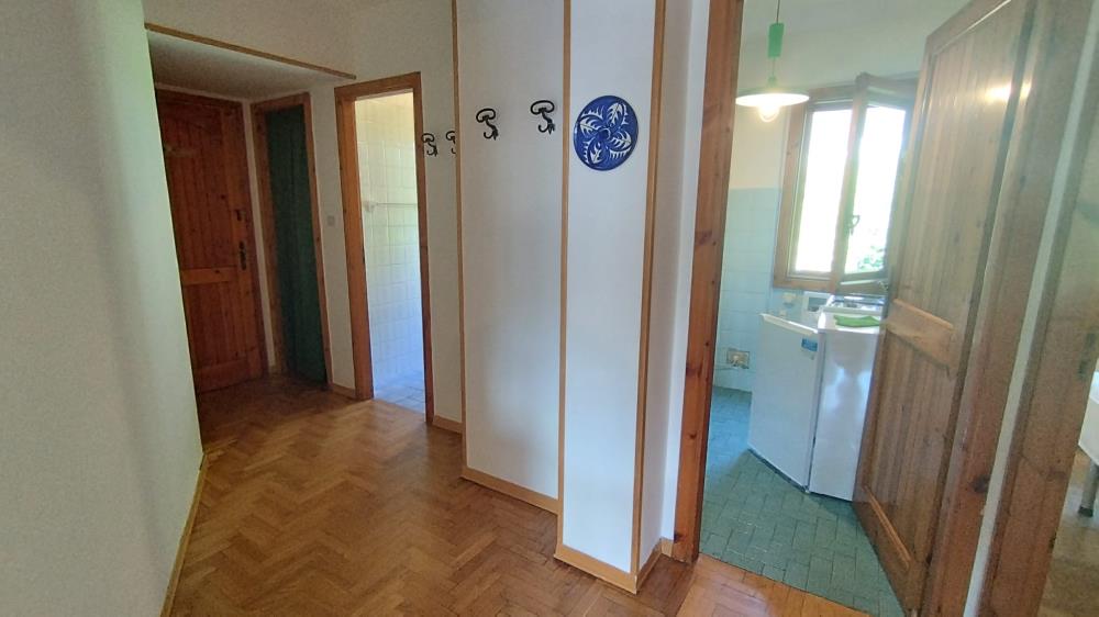 Delfinitetti immobiliare