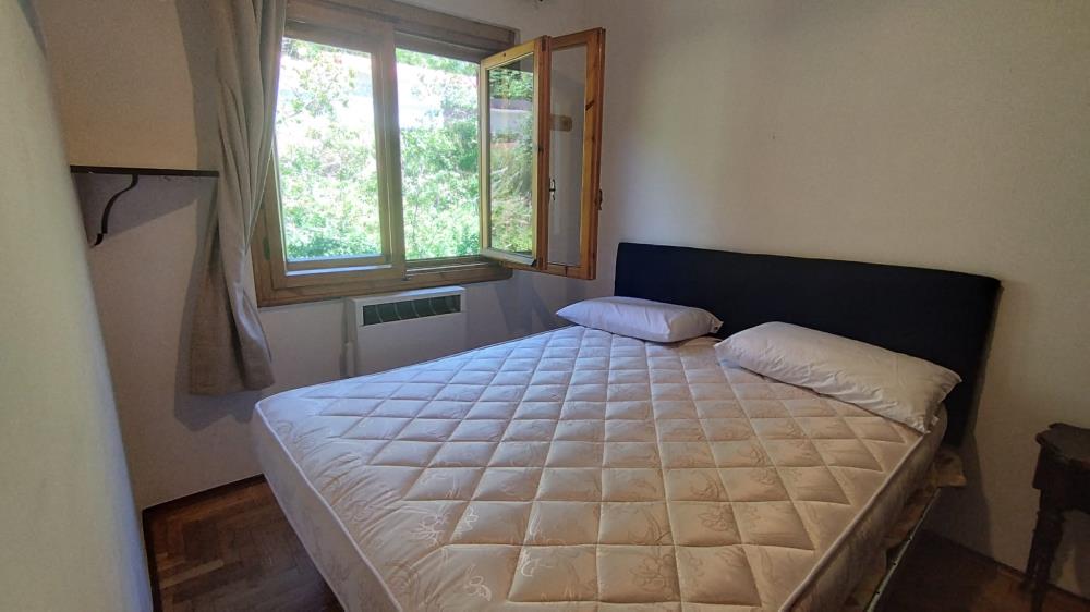 Delfinitetti immobiliare