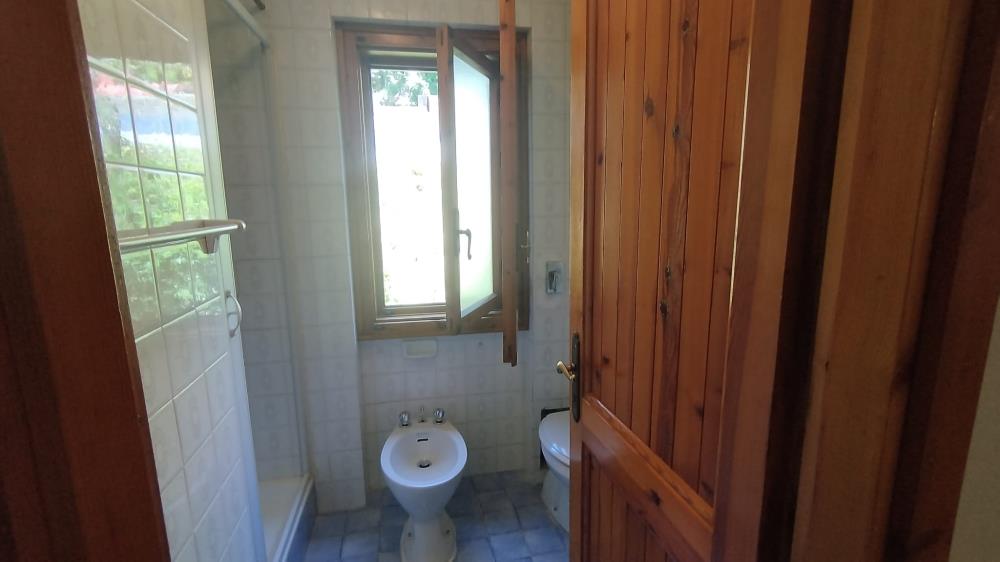 Delfinitetti immobiliare