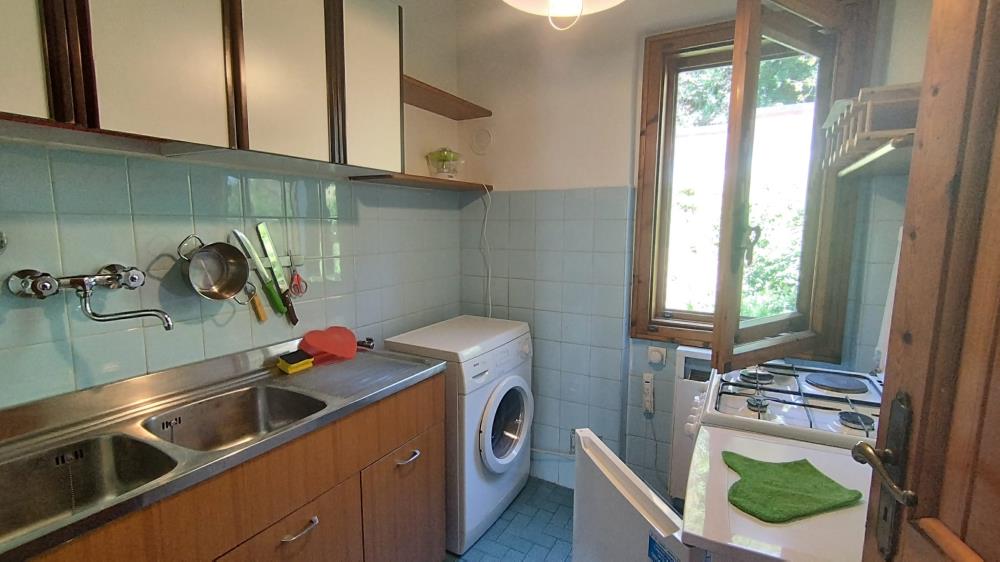 Delfinitetti immobiliare