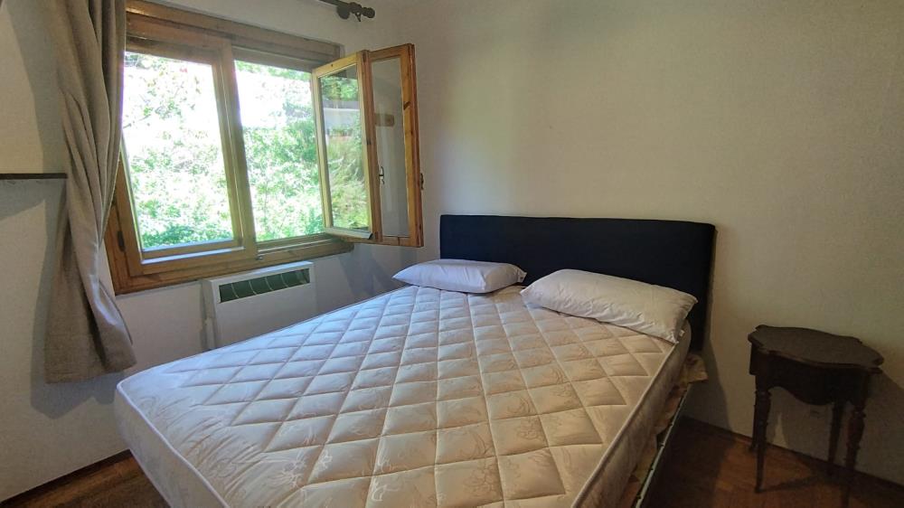 Delfinitetti immobiliare