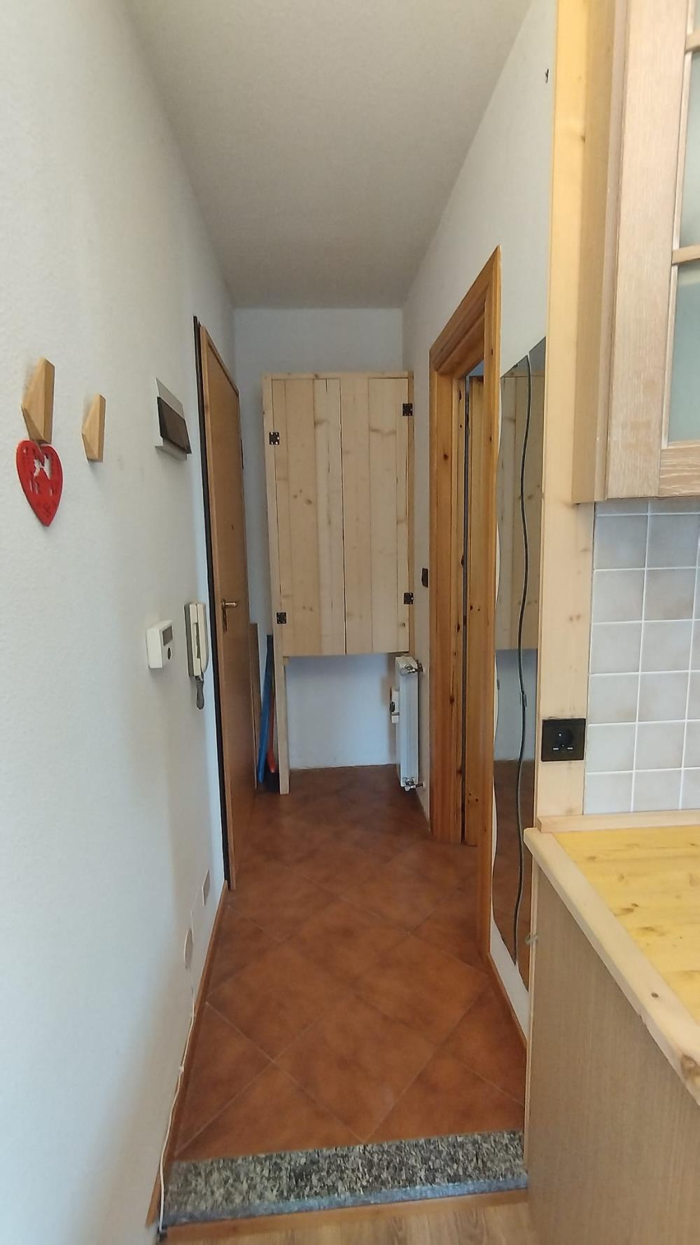 Delfinitetti immobiliare