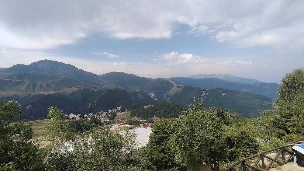 Delfinitetti immobiliare