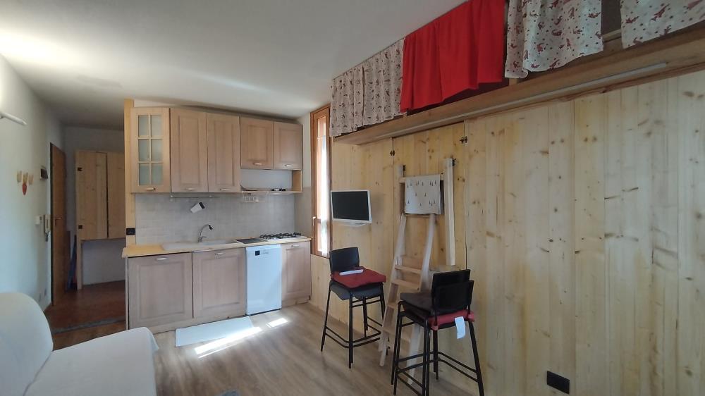 Delfinitetti immobiliare