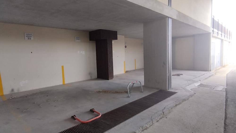 Delfinitetti immobiliare