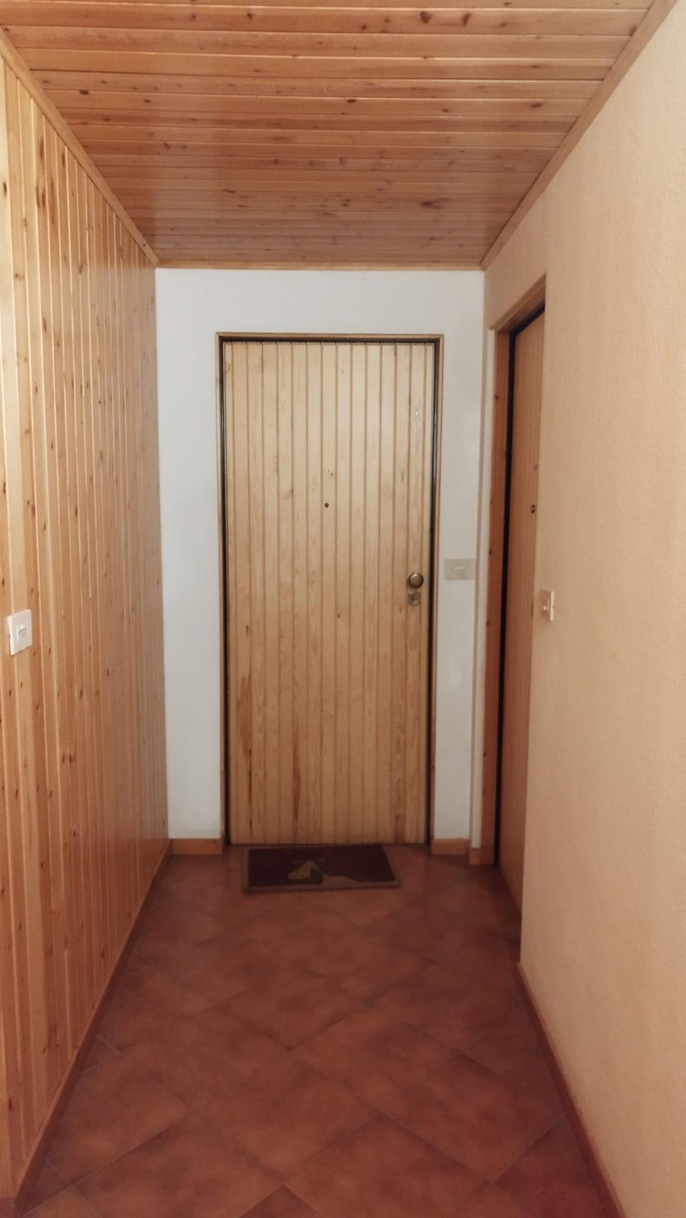 Delfinitetti immobiliare