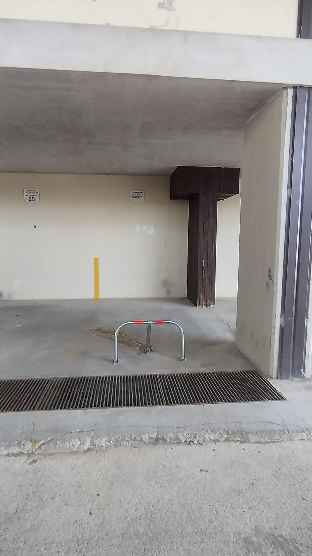 Delfinitetti immobiliare